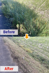 心とからだの健康維持増進合宿2