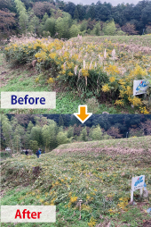 ファーム研修終了2