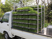 田植え2